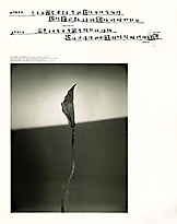 Original Calendar_2001_2