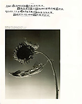 Original Calendar_2001_4