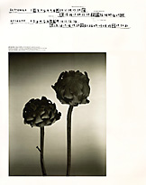 Original Calendar_2001_5