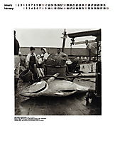 Original Calendar_2004_1