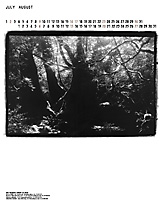 Original Calendar_2006_4