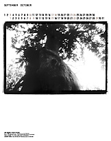 Original Calendar_2006_5
